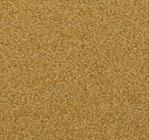 Coordinations Tile